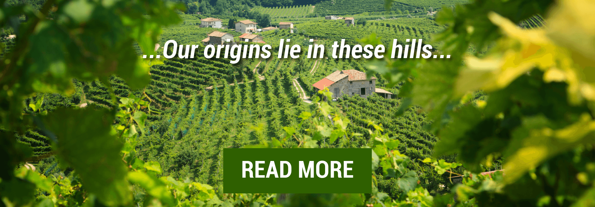 Our origins lie in these hills 